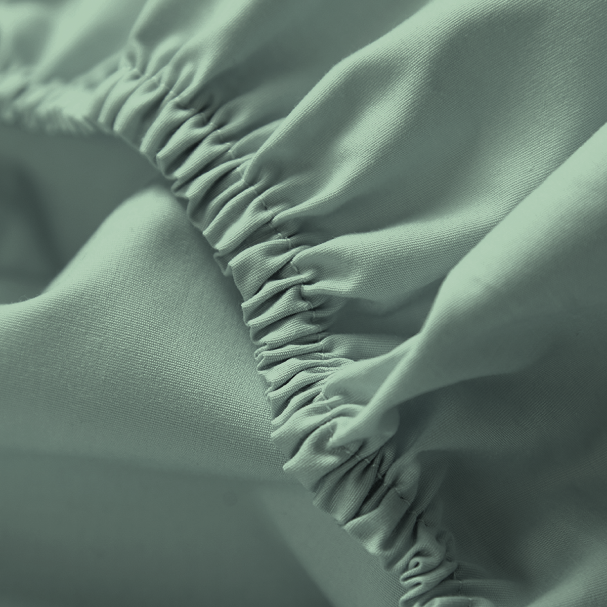 Percale Limited Edition Fitted Sheet