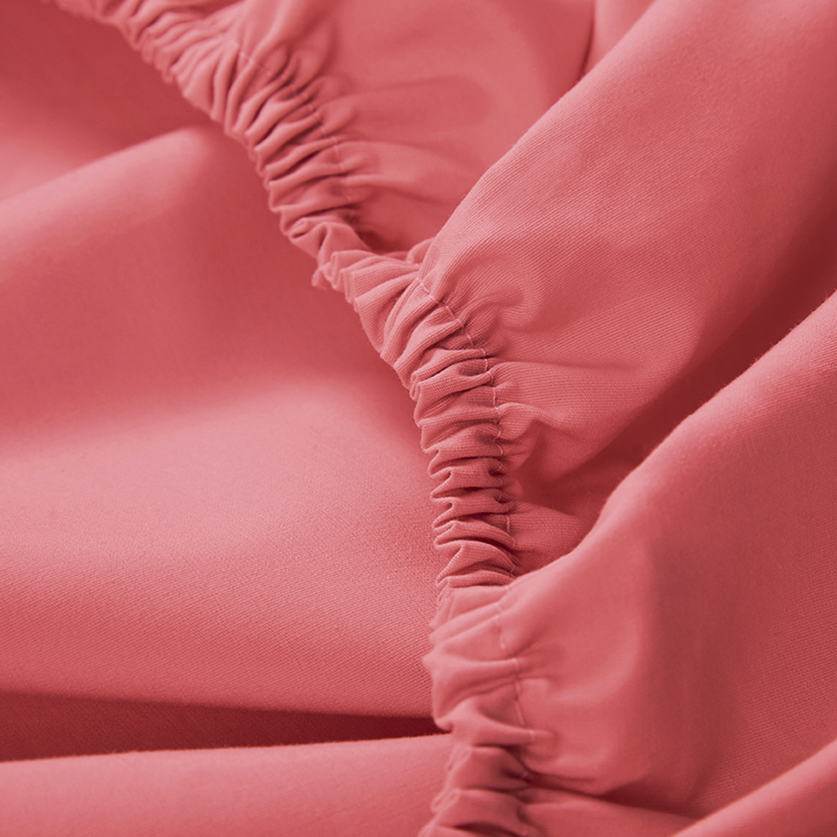 Percale Limited Edition Fitted Sheet