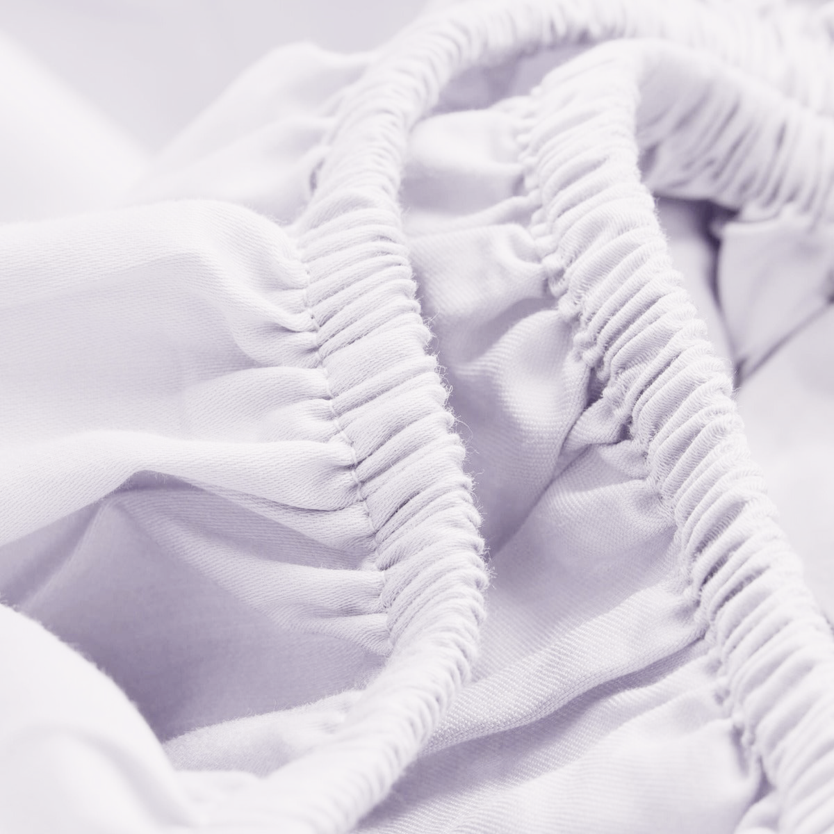 Percale Limited Edition Fitted Sheet