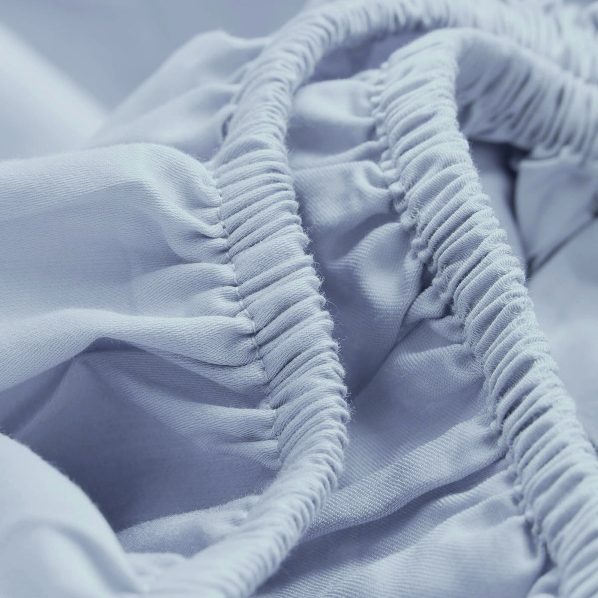 Percale Limited Edition Fitted Sheet