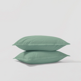 Percale Shams Pair