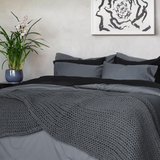 Percale Shams Pair