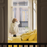 Percale Shams Pair
