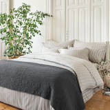 Brushed Cotton Shams